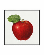 Red Apple Vintage Poster | Framed Canvas Art Print