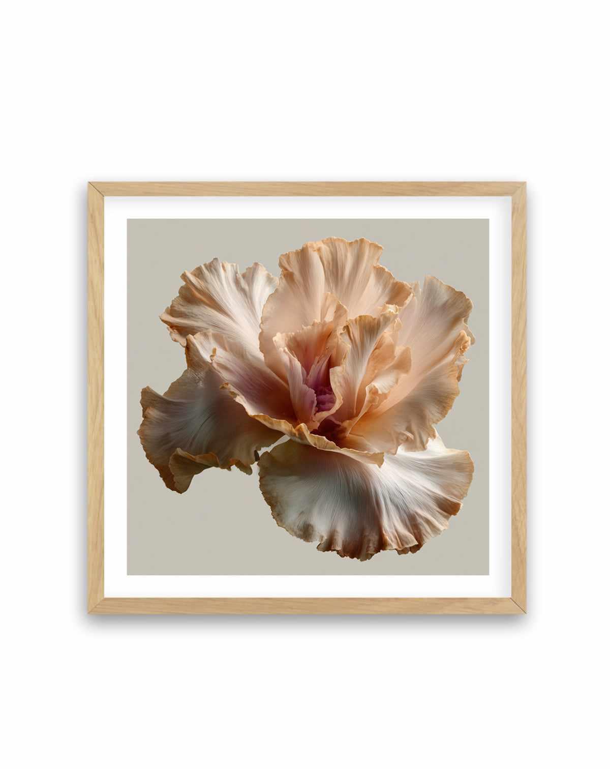 Salt Bloom I | Art Print from Olive et Oriel where you can shop wallpaper and artworks online
