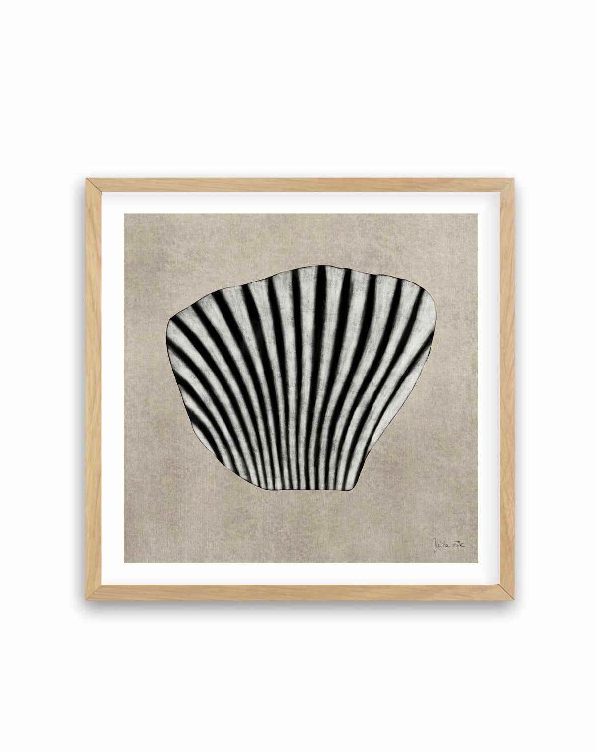 Sea Shells by Julita Elbe | Art Print from Olive et Oriel where you can shop wallpaper and artworks online