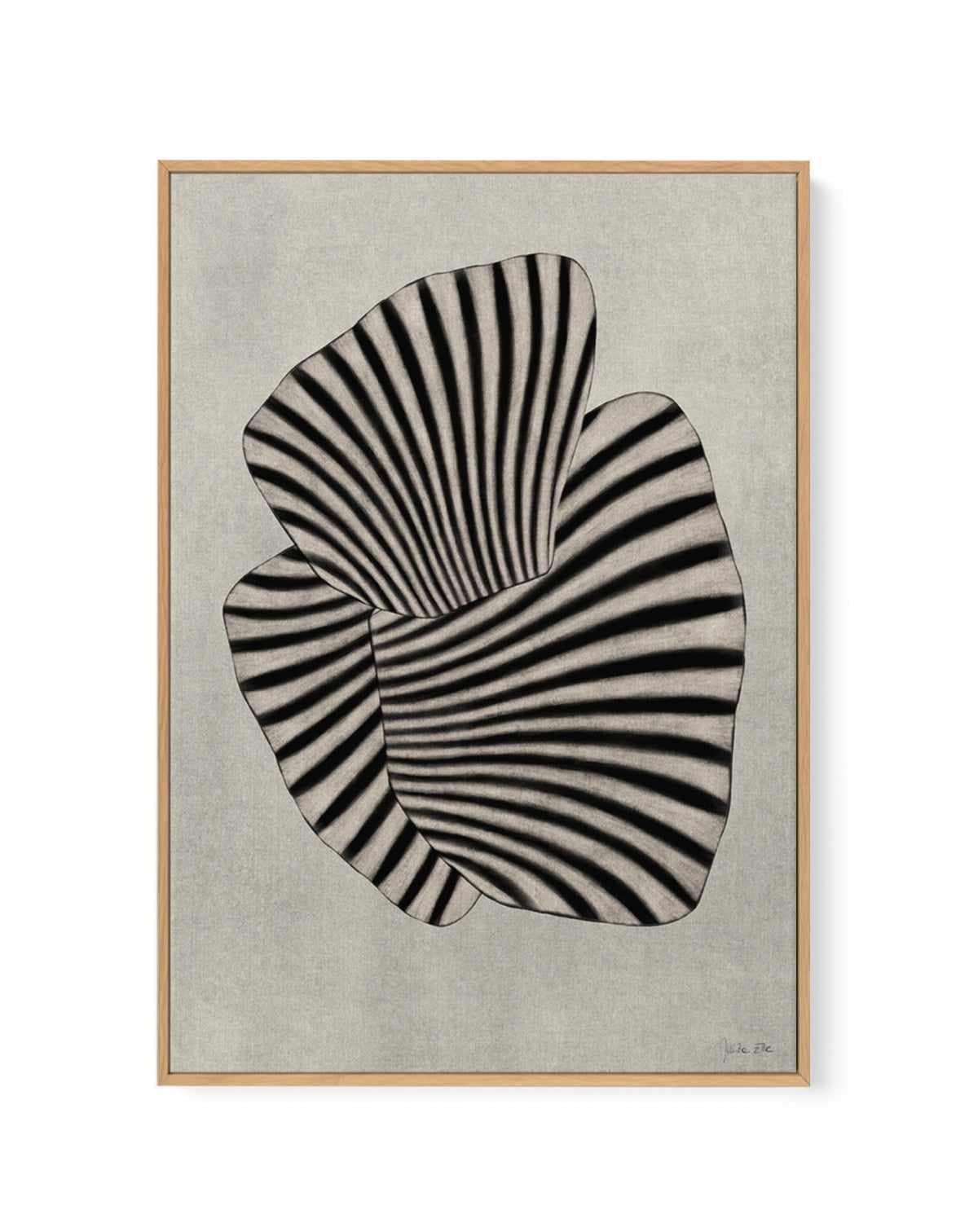 Sea Shells 04 by Julita Elbe | Framed Canvas Art Print from Olive et Oriel where you can shop wallpaper and artworks online