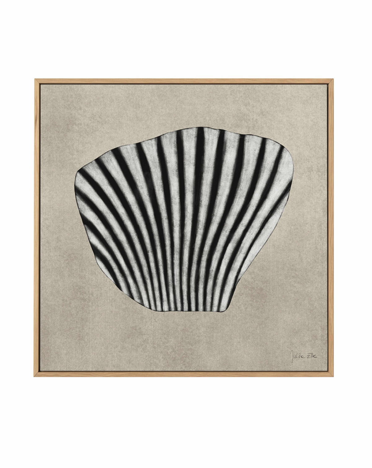 Sea Shells by Julita Elbe | Framed Canvas Art Print from Olive et Oriel where you can shop wallpaper and artworks online