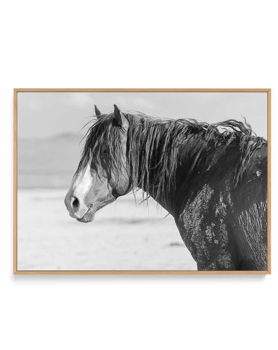 Shaggy by Rylee Olsen | Framed Canvas Art Print from Olive et Oriel where you can shop wallpaper and artworks online