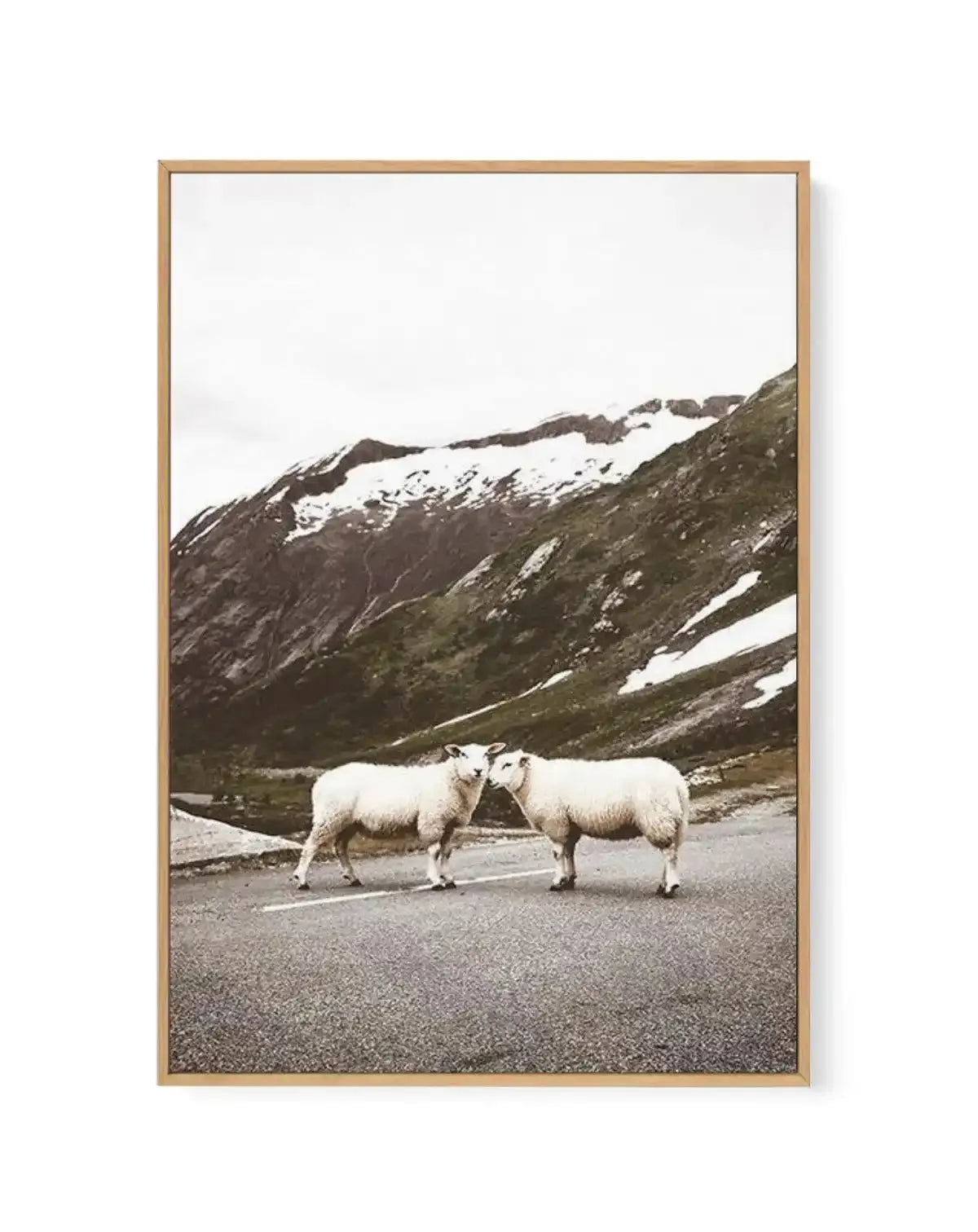 Framed canvas art print featuring two white sheep standing on a gray asphalt road, facing each other. Behind them rises a dramatic mountainous landscape with snow-capped peaks, green and brown slopes, and patches of white snow. The sky is overcast and pale gray. The photograph has a muted, naturalistic color palette dominated by whites, grays, greens, and earth tones. The canvas is mounted in a natural wood-toned frame with a white border.