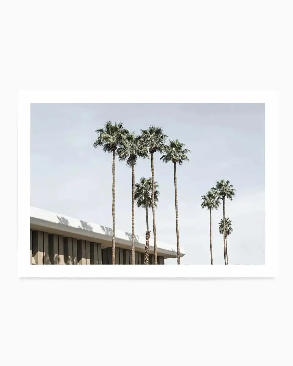 Skies the Limit Palm Springs Art Print from Olive et Oriel where you can shop wallpaper and artworks online