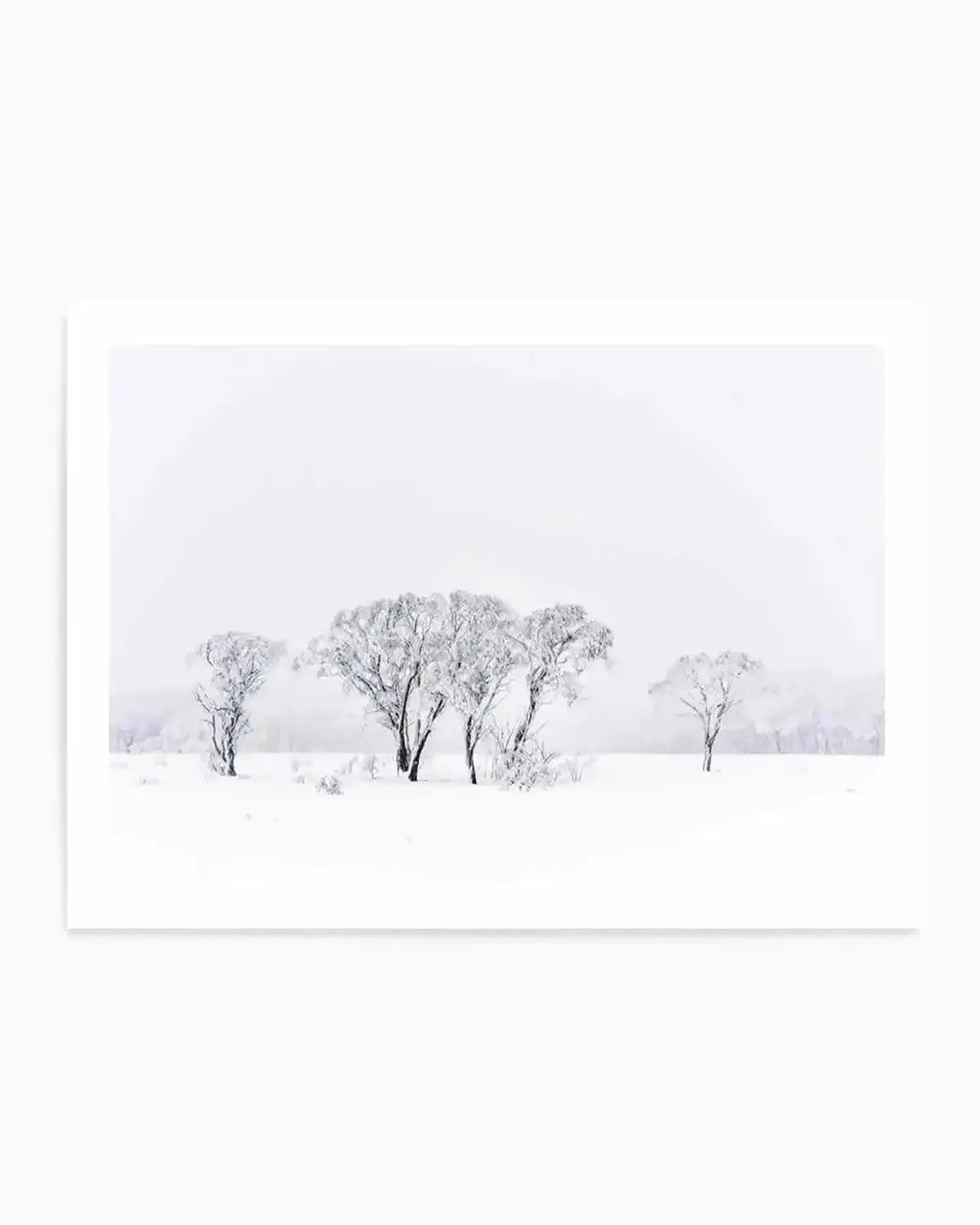Snowy Gumtrees, Kosciuszko Art Print from Olive et Oriel where you can shop wallpaper and artworks online
