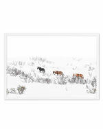 Snowy Mountains Brumbies II Art Print