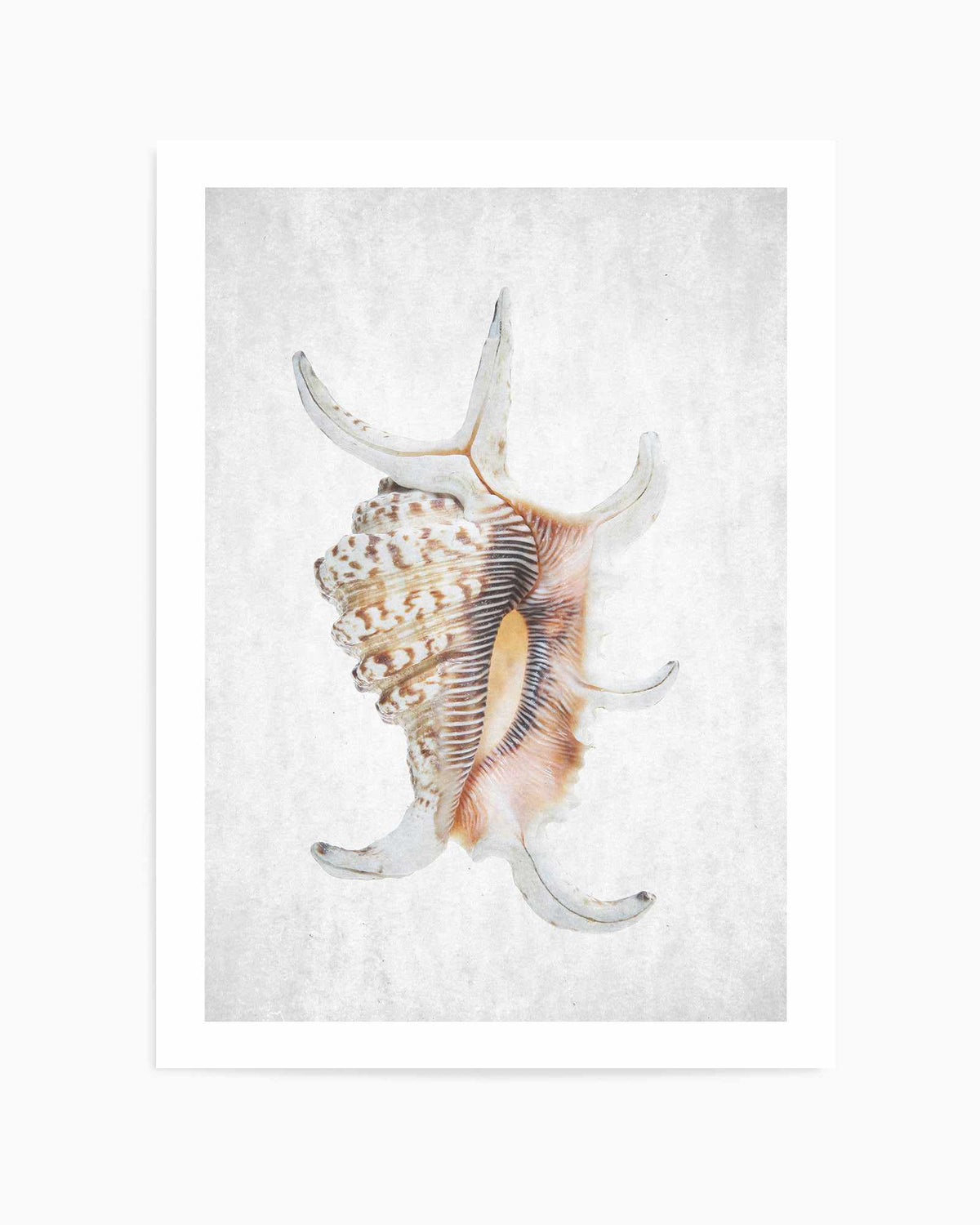 Spring Tide 03 By Clint | Art Print from Olive et Oriel where you can shop wallpaper and artworks online