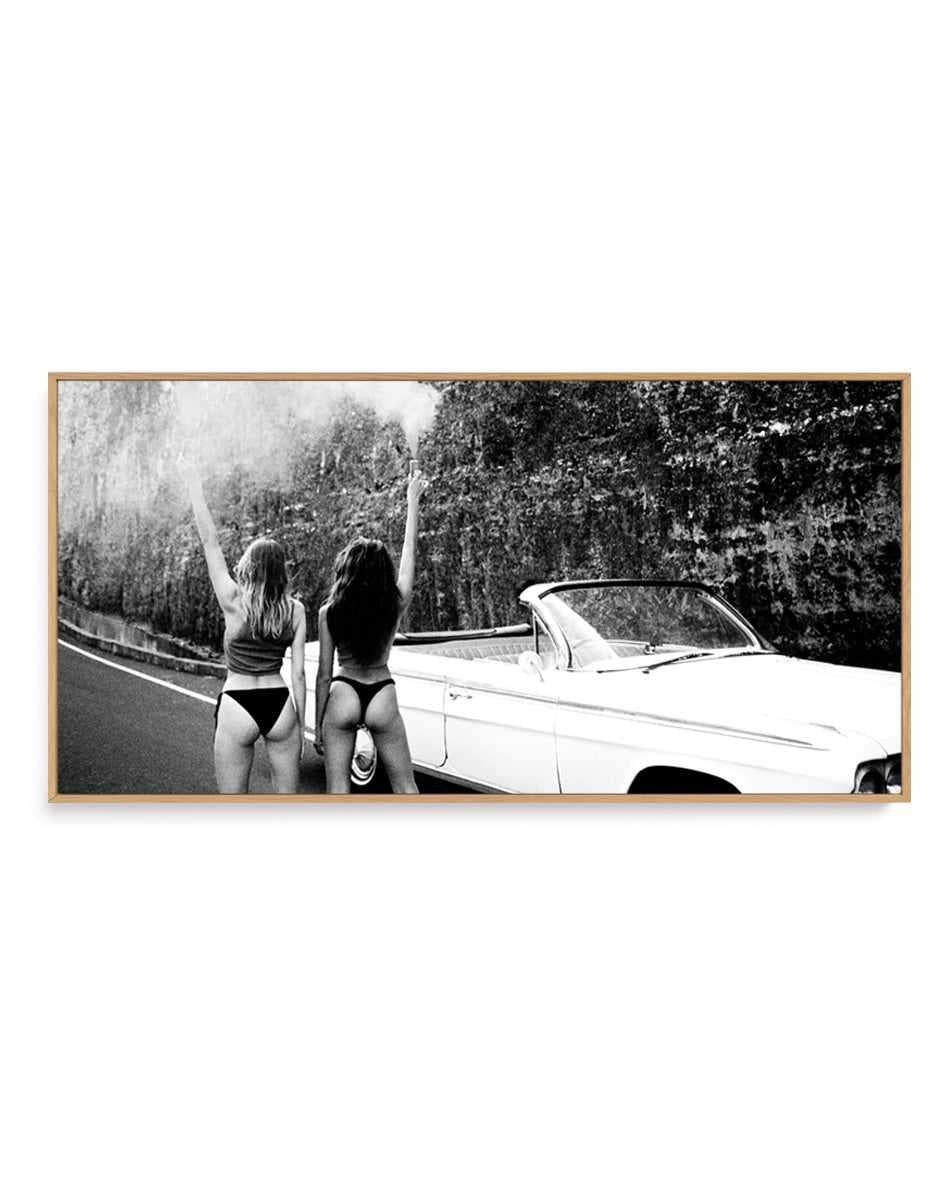 Starlet by Amy Hallam B&W | Panoramic Canvas Art Print from Olive et Oriel where you can shop wallpaper and artworks online