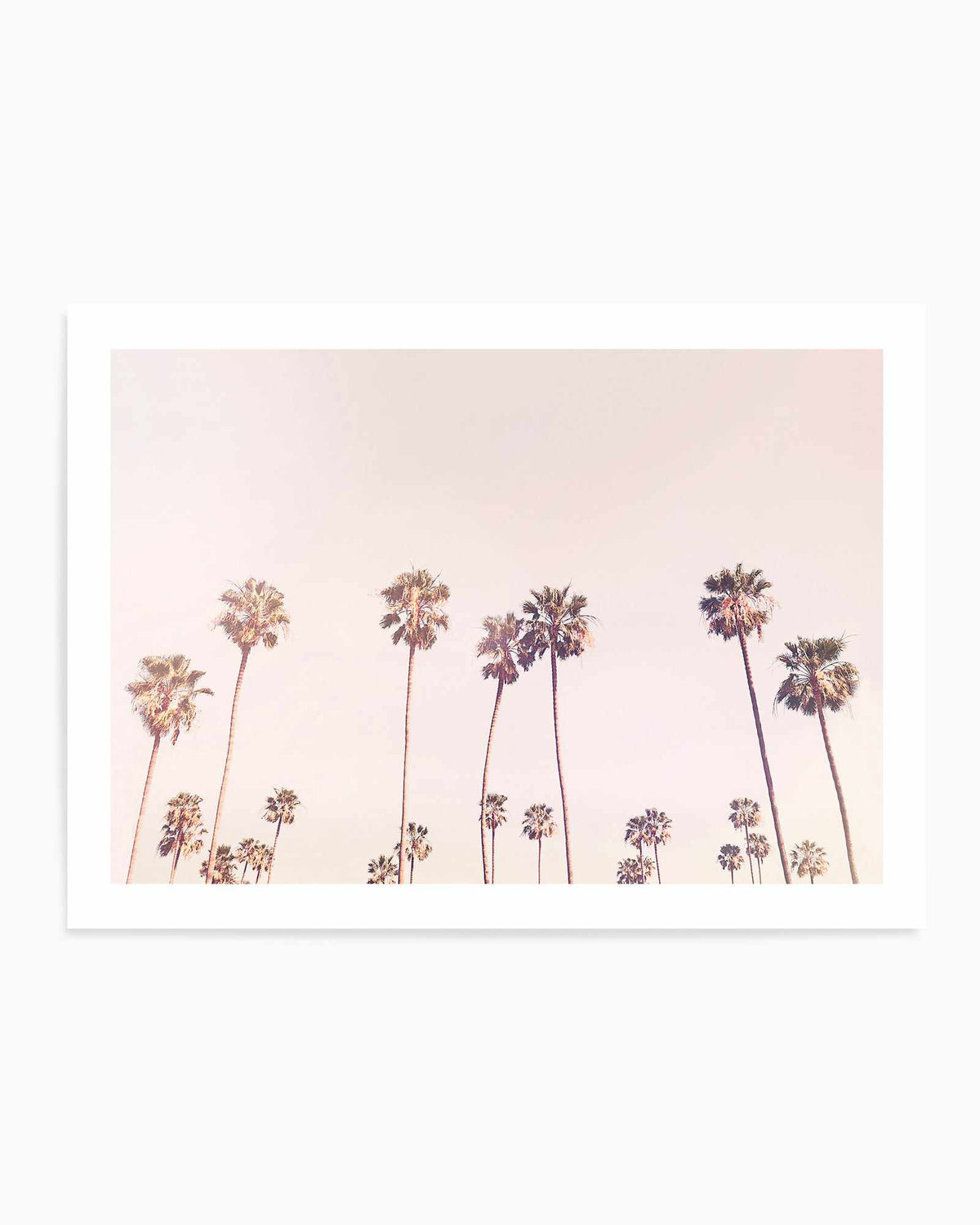 Sunny Cali Palm Trees By Kathrin Pienaar | Art Print from Olive et Oriel where you can shop wallpaper and artworks online