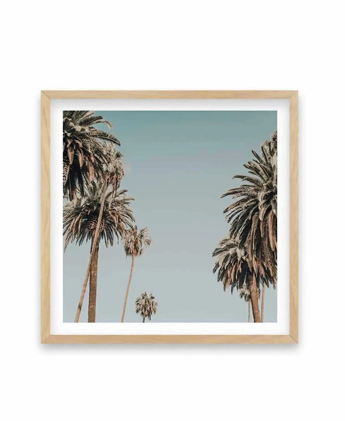 Framed square art print featuring a photograph of palm trees against a clear, pale blue sky. Tall palm trees with thin trunks and full fronds frame the left and right sides of the composition, with a smaller palm tree visible in the center distance. The image has a soft, serene quality with warm-toned tree trunks contrasting against the cool blue sky. The print is mounted in a natural wood frame with a white border.