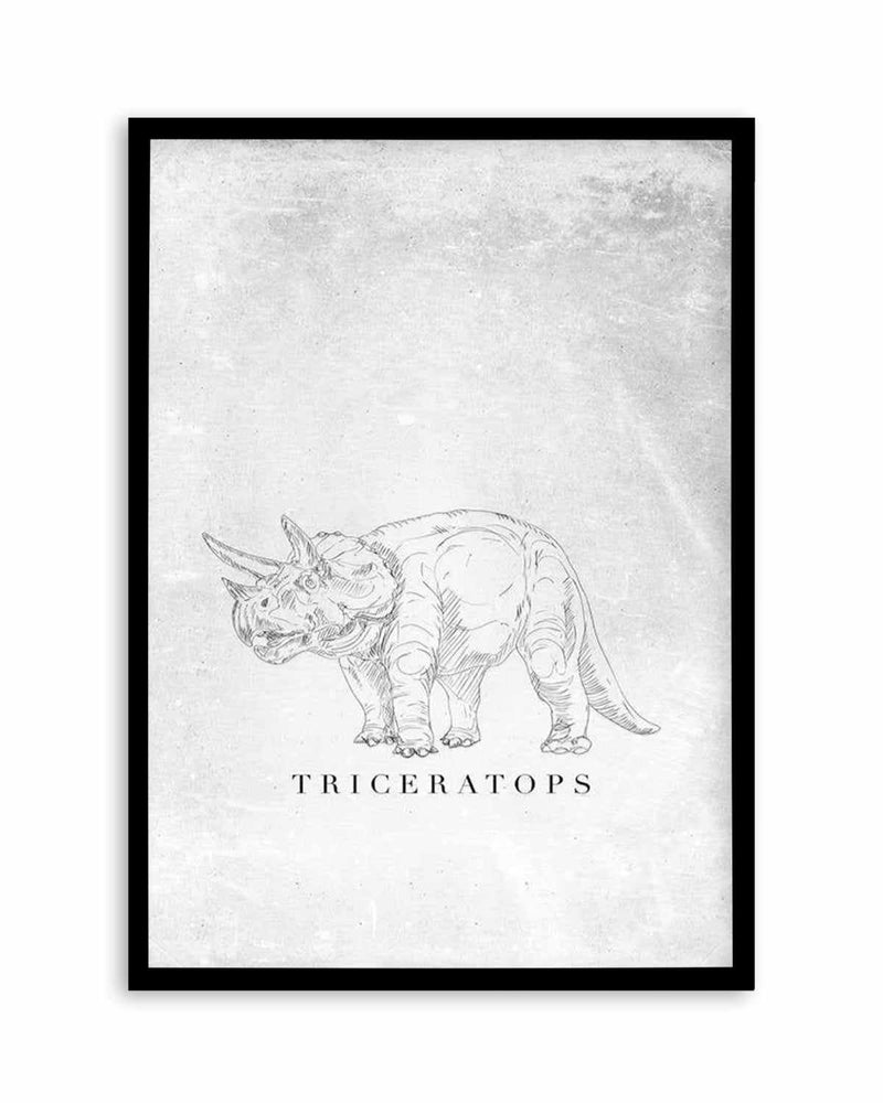 Triceratops PT | Dinosaur Collection Art Print