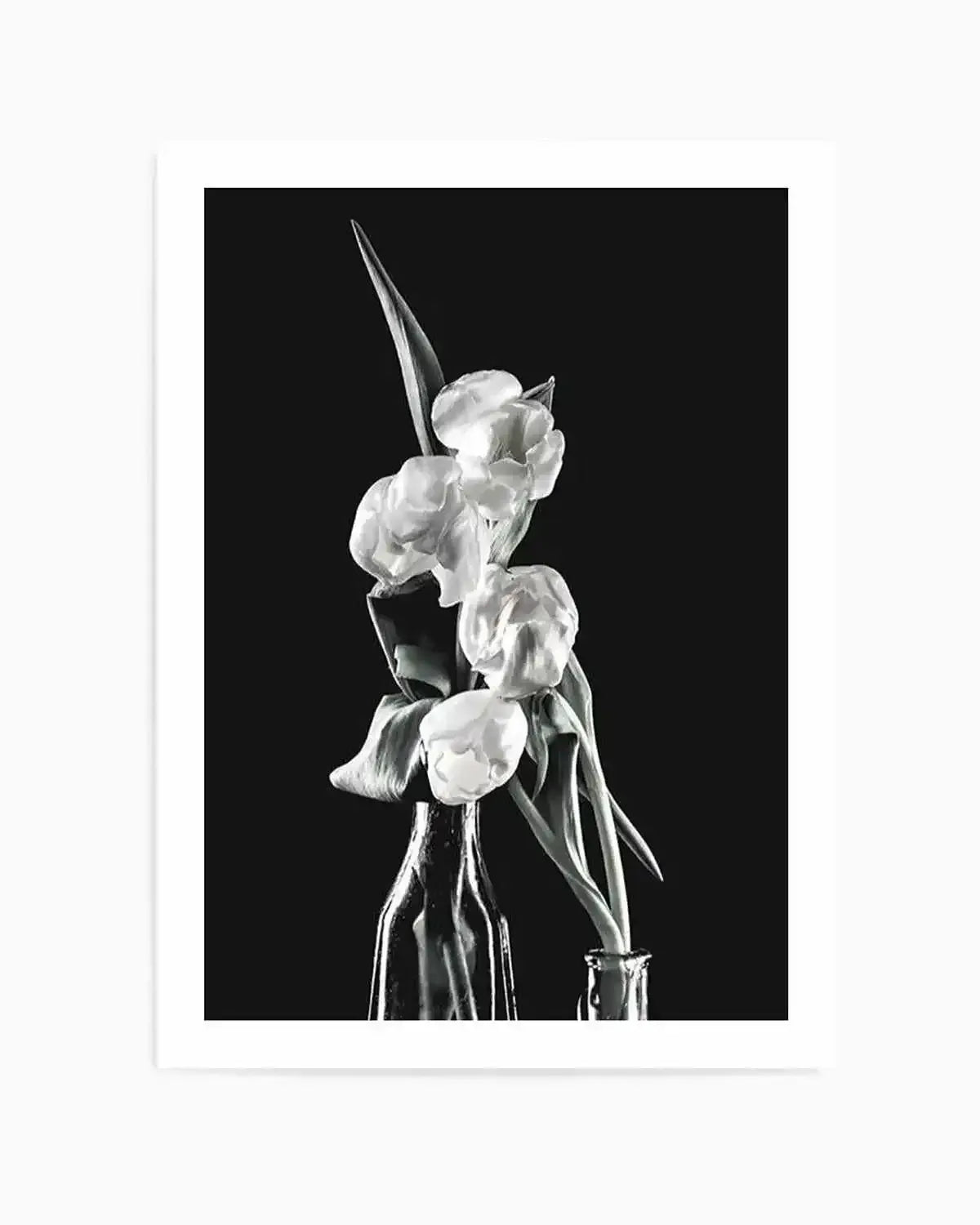 Tulips on Black II Art Print from Olive et Oriel where you can shop wallpaper and artworks online