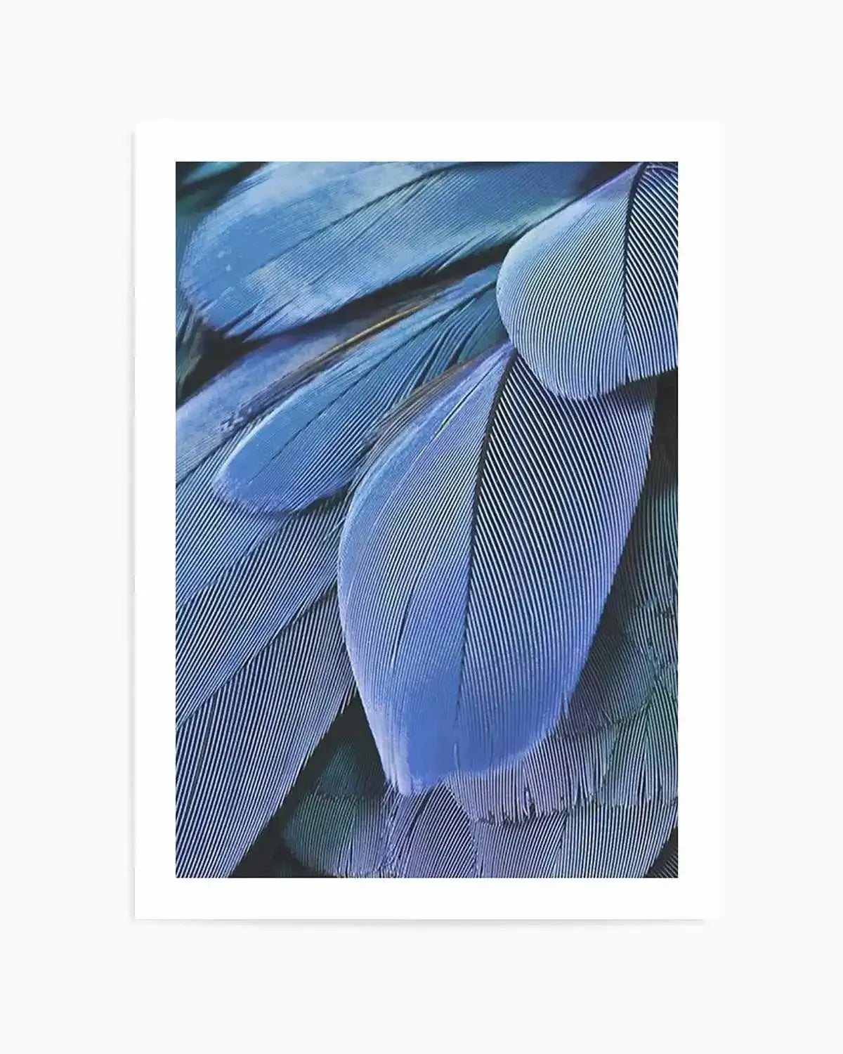Ultra Violet Feather I Art Print art print, framed