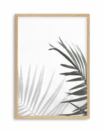 Under The Palm Art Print