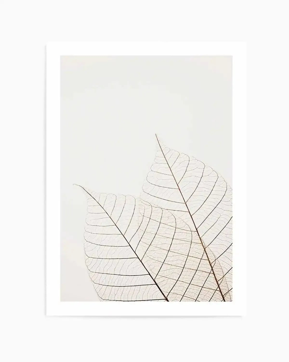Warm Leaves art print featuring two delicate, translucent skeleton leaves in a pale, warm beige tone against a bright white background. The intricate network of veins is clearly visible, creating a minimalist and ethereal composition.