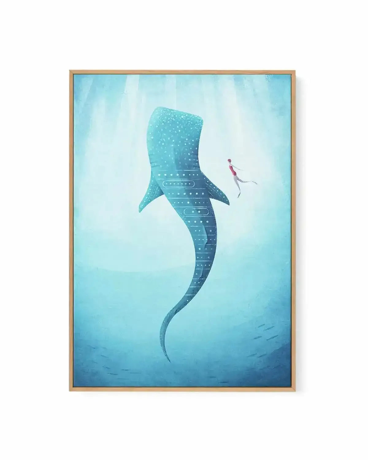 Whale Shark by Henry Rivers | Framed Canvas Art Print from Olive et Oriel where you can shop wallpaper and artworks online