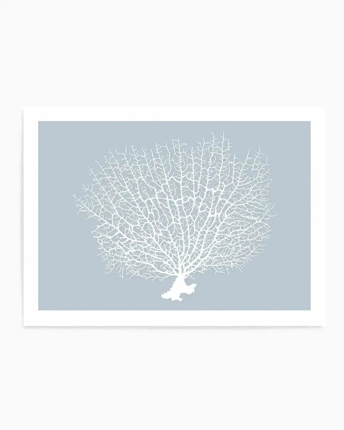 Art print featuring a detailed illustration of a white sea fan coral on a soft, light blue background, displayed in a white frame with a white border. The coral's intricate, branching structure is rendered with fine detail, creating a delicate, organic pattern.