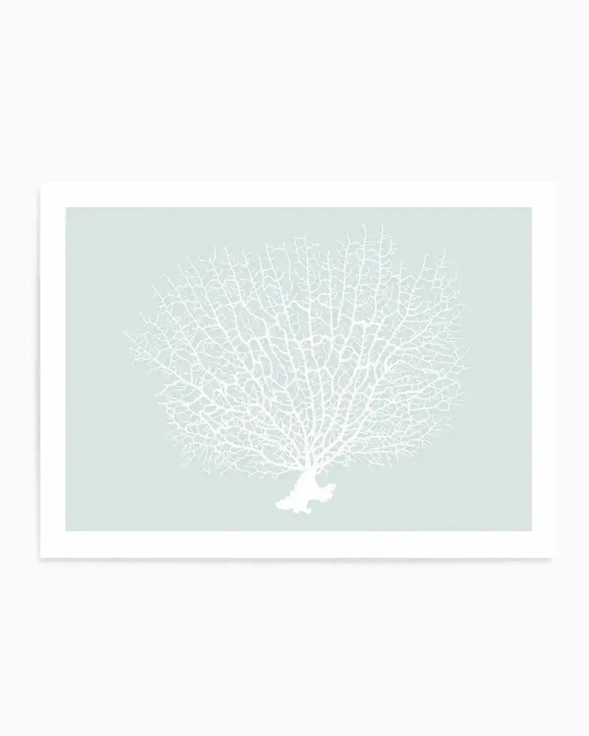 Art print featuring a detailed illustration of a white sea fan coral with intricate, branching patterns, set against a soft, pale mint green background. The coral has a delicate, organic texture.