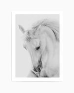 White Horse III Art Print