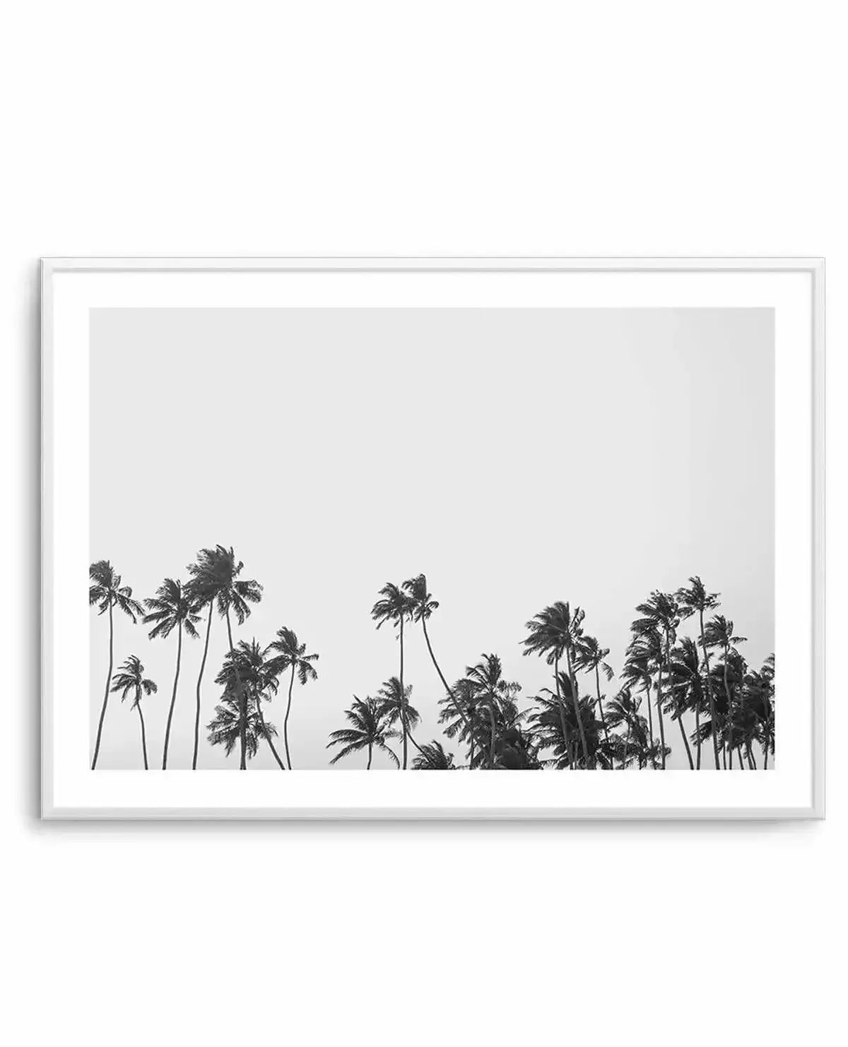 Palm Trees Black & White Photography Wall Art Print – Olive et Oriel