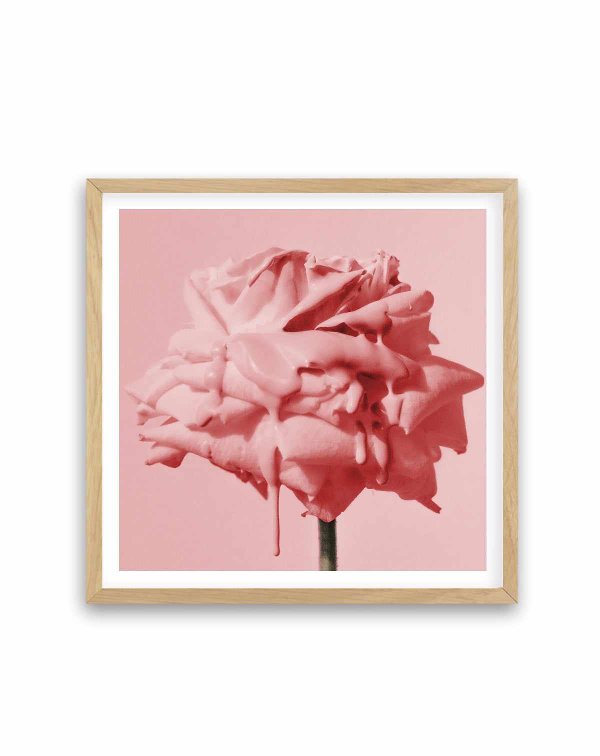 Wild Red Rose | Art Print from Olive et Oriel where you can shop wallpaper and artworks online