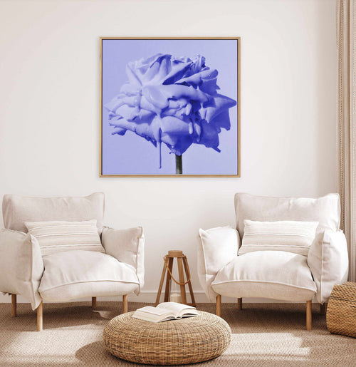 Wild Rose Blue Pop | Framed Canvas Art Print