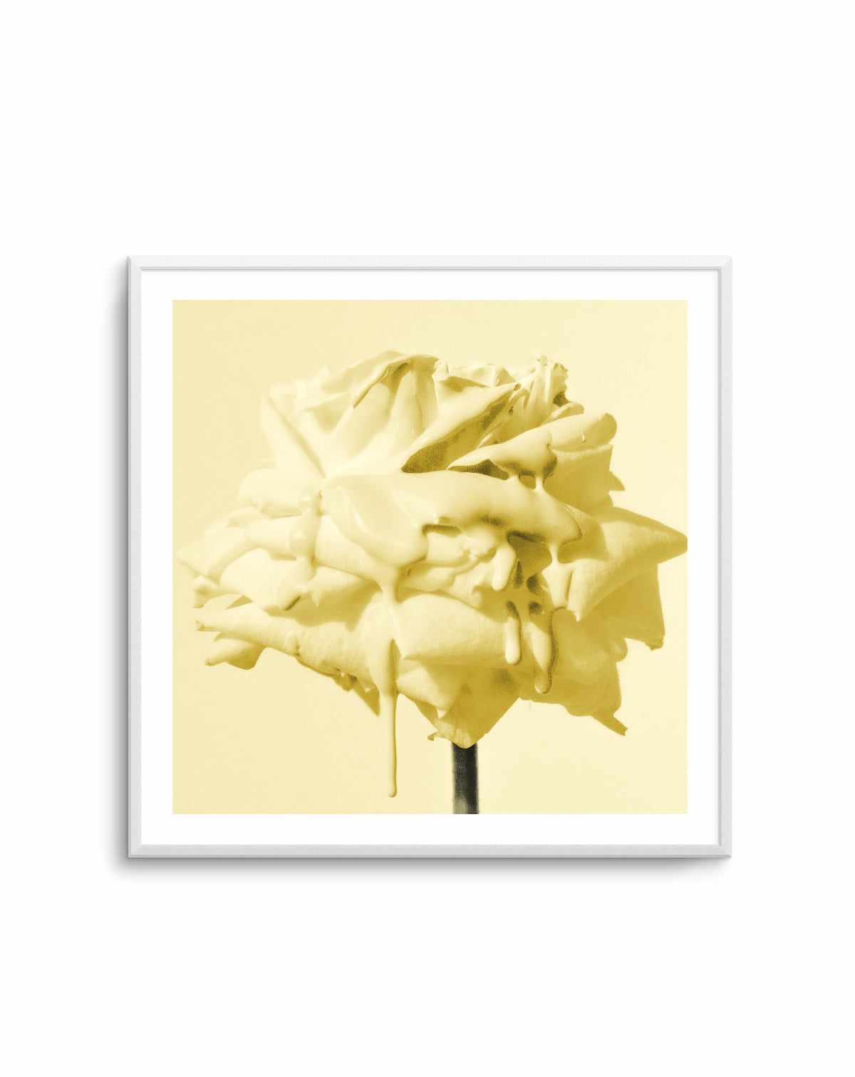 Wild Rose Yellow Art Print Olive et Oriel