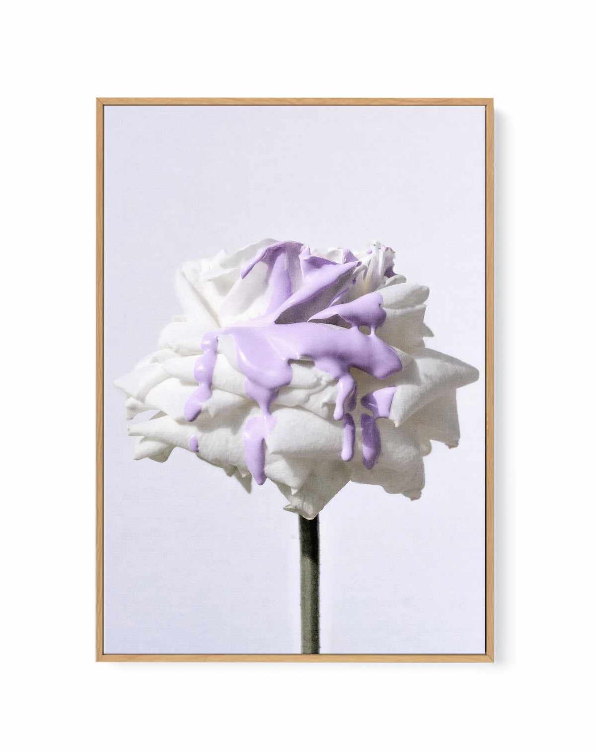 Wild Rose in Lilac II PT | Framed Canvas Art Print from Olive et Oriel where you can shop wallpaper and artworks online