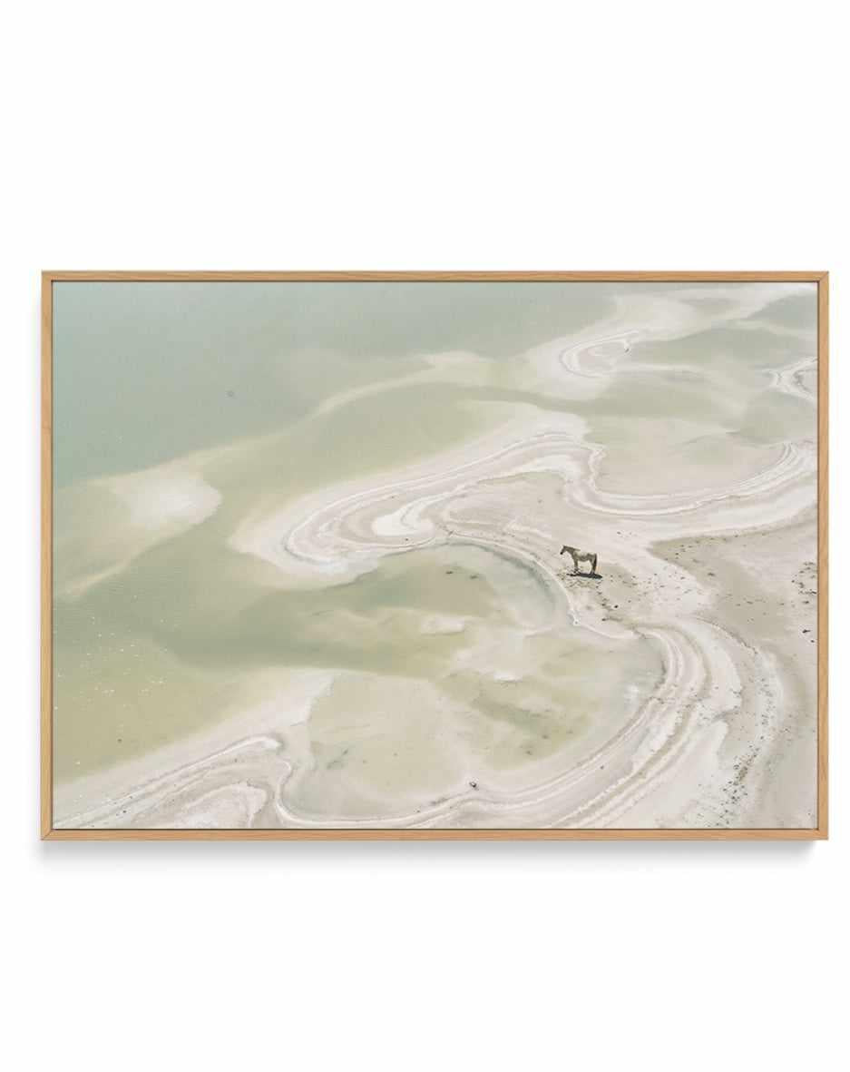 Wild Sands II | Framed Canvas Art Print from Olive et Oriel where you can shop wallpaper and artworks online
