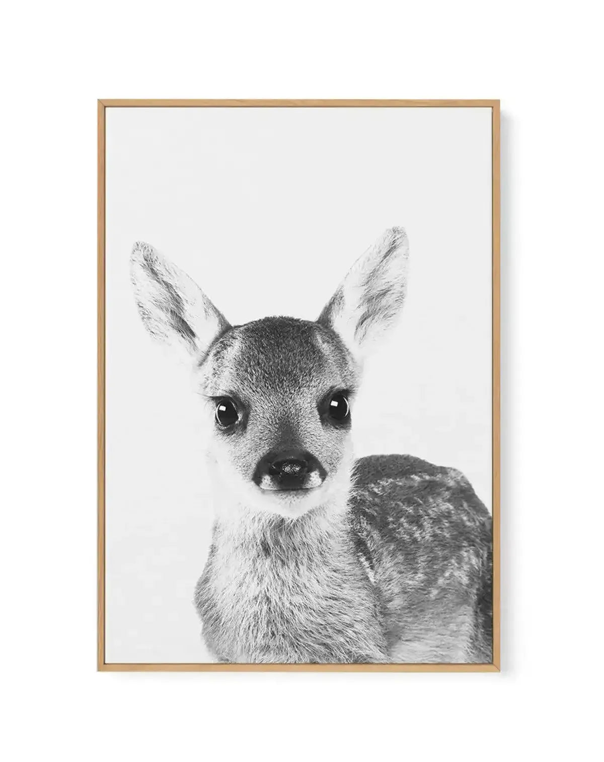 Baby Deer | B&W | Framed Canvas-CANVAS-You can shop wall art online with Olive et Oriel for everything from abstract art to fun kids wall art. Our beautiful modern art prints and canvas art are available from large canvas prints to wall art paintings and our proudly Australian artwork collection offers only the highest quality framed large wall art and canvas art Australia - You can buy fashion photography prints or Hampton print posters and paintings on canvas from Olive et Oriel and have them