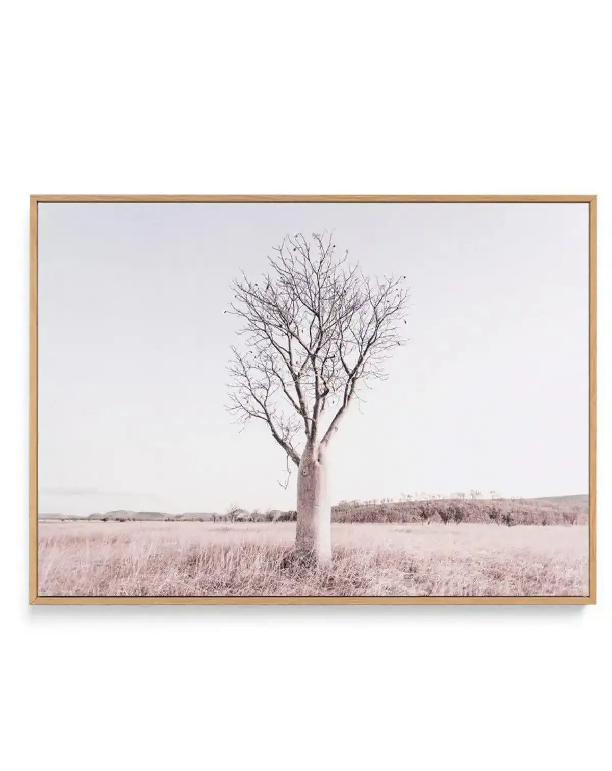Framed canvas art print featuring a solitary bare tree standing in a vast, flat landscape under an overcast sky. The tree has a pale, whitewashed trunk with delicate branches spreading upward, leafless and intricate. The surrounding terrain is dry grassland in muted beige and tan tones, with a distant tree line visible along the horizon. The photograph has a soft, desaturated colour palette dominated by warm neutrals and pale purples. The canvas is mounted in a natural wood frame with a white border.