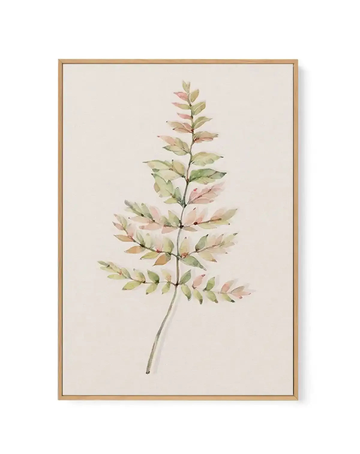 Watercolor painting of a delicate fern frond featuring soft green and blush pink leaves arranged along a slender stem against a cream background. The artwork is mounted on canvas and framed in natural wood with a white border, displayed as a vertical rectangular print.