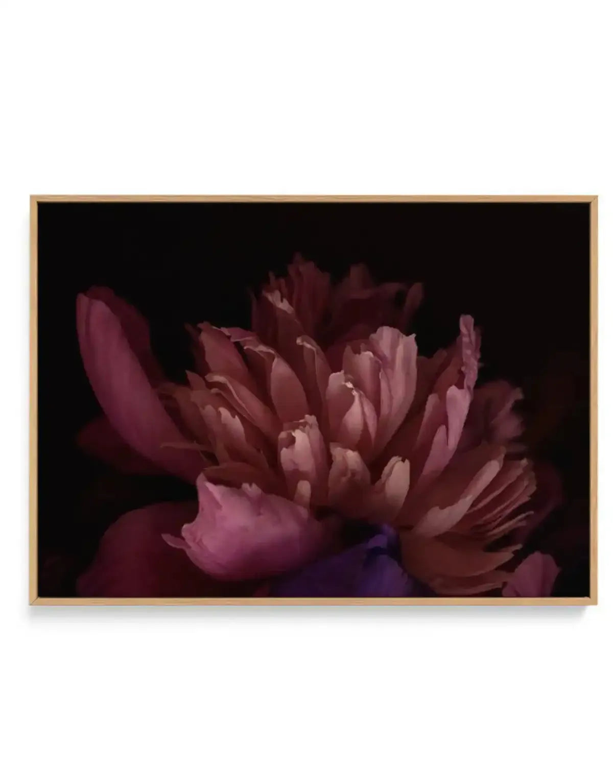 Botanica III LS | Framed Canvas-CANVAS-You can shop wall art online with Olive et Oriel for everything from abstract art to fun kids wall art. Our beautiful modern art prints and canvas art are available from large canvas prints to wall art paintings and our proudly Australian artwork collection offers only the highest quality framed large wall art and canvas art Australia - You can buy fashion photography prints or Hampton print posters and paintings on canvas from Olive et Oriel and have them