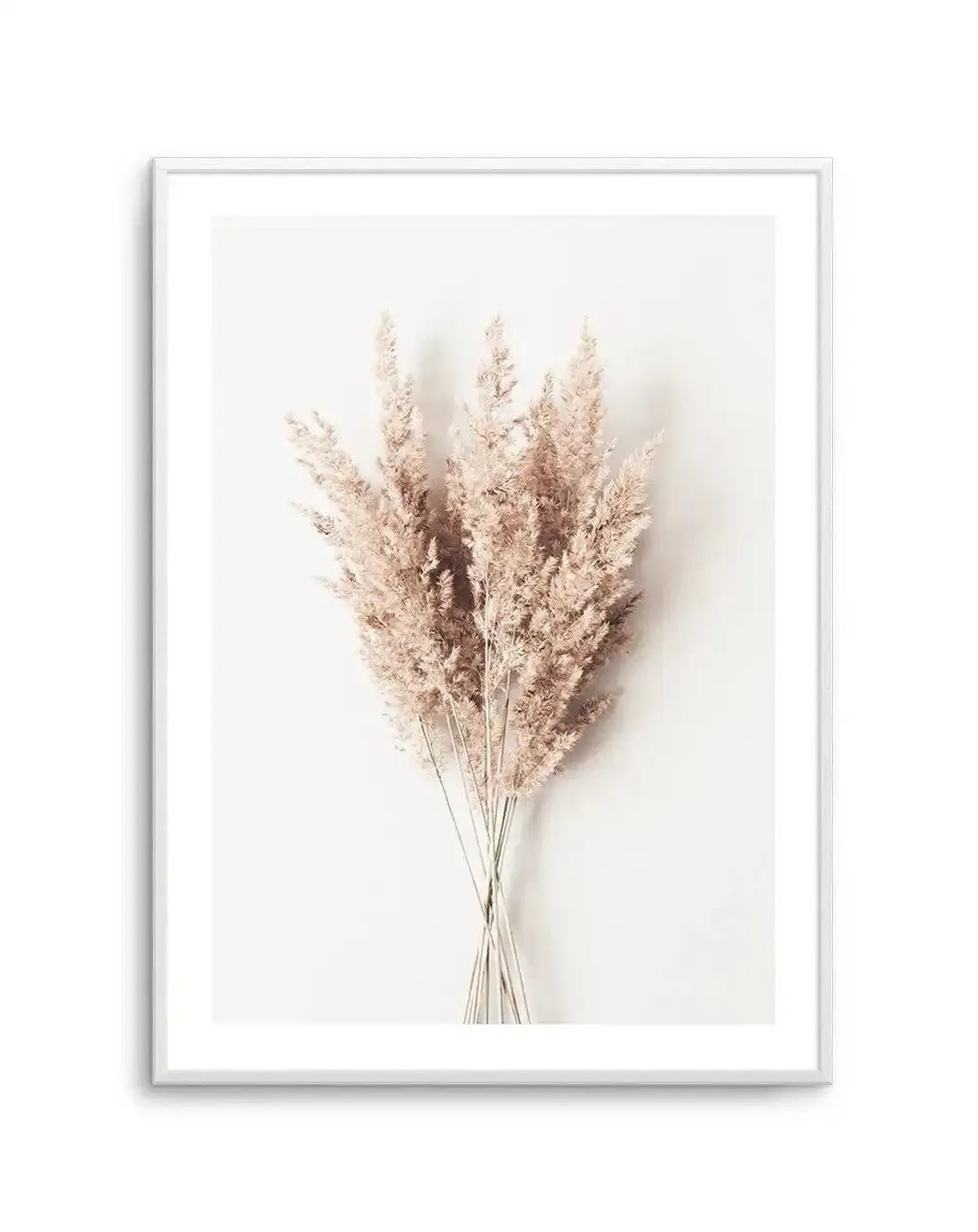 Framed art print featuring a minimalist photograph of a bundle of dried pampas grass in soft, muted beige and dusty pink tones against a clean white background, with a white frame and white border.
