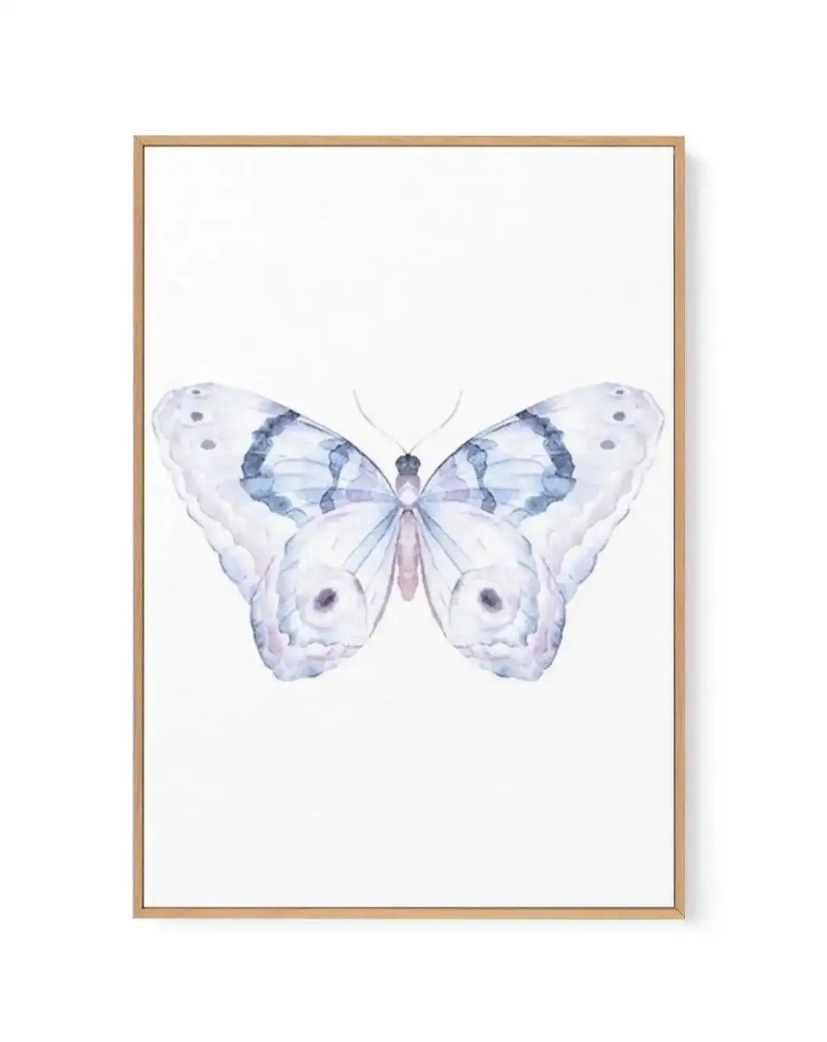 Butterfly II | Framed Canvas-CANVAS-You can shop wall art online with Olive et Oriel for everything from abstract art to fun kids wall art. Our beautiful modern art prints and canvas art are available from large canvas prints to wall art paintings and our proudly Australian artwork collection offers only the highest quality framed large wall art and canvas art Australia - You can buy fashion photography prints or Hampton print posters and paintings on canvas from Olive et Oriel and have them del