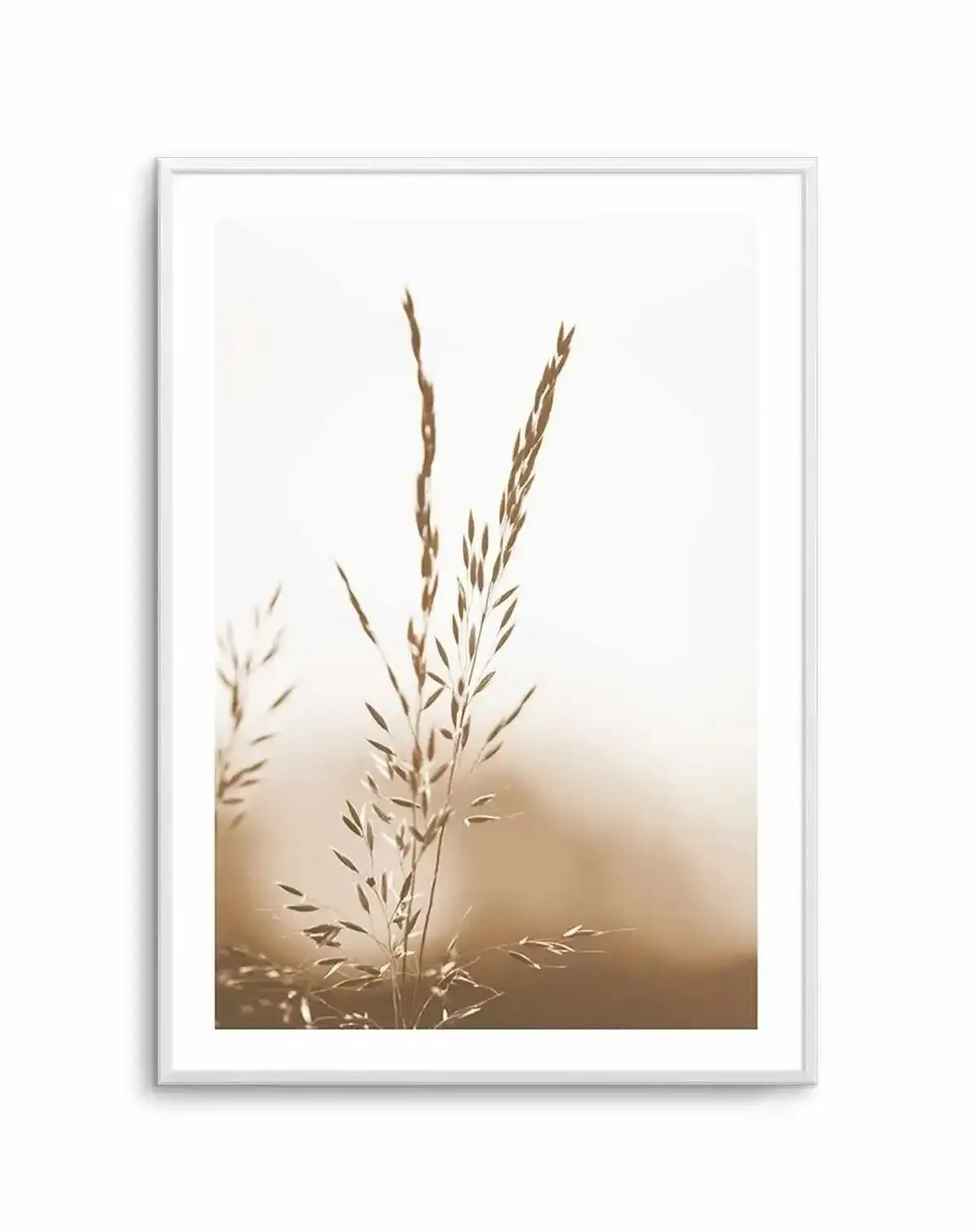 Framed photography art print of coastal grass in warm sepia tones with a white frame and white border. The composition features several stalks of dried grass with seed heads, rendered in soft focus against a blurred background, creating a serene and ethereal mood.