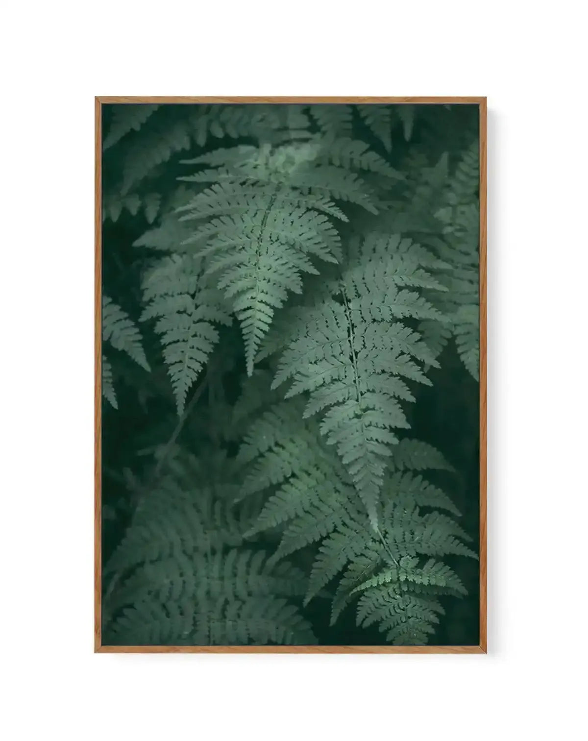 Framed canvas art print featuring a dense cluster of fern fronds in varying shades of deep forest green and soft sage green. The ferns are photographed from above, creating a layered, botanical composition with delicate, feathery leaflets overlapping throughout. The image has a moody, naturalistic quality with subtle depth created by lighter and darker green tones. The canvas is set in a natural wood frame with a warm tan finish.
