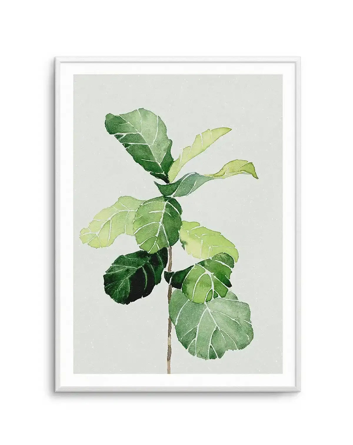 fiddle leaf fig watercolor Botanical Wall Art Print