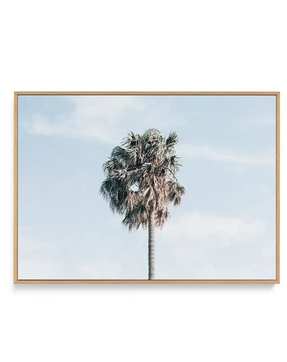 Gerringong Palm | LS | Framed Canvas-CANVAS-You can shop wall art online with Olive et Oriel for everything from abstract art to fun kids wall art. Our beautiful modern art prints and canvas art are available from large canvas prints to wall art paintings and our proudly Australian artwork collection offers only the highest quality framed large wall art and canvas art Australia - You can buy fashion photography prints or Hampton print posters and paintings on canvas from Olive et Oriel and have