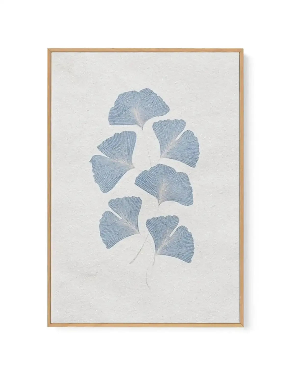 Framed canvas art print featuring a botanical illustration of ginkgo leaves in soft dusty blue arranged vertically along a delicate stem on a cream background. The leaves are rendered with fine linear detailing showing their characteristic fan shape. The artwork is mounted in a natural wood frame with a white border.