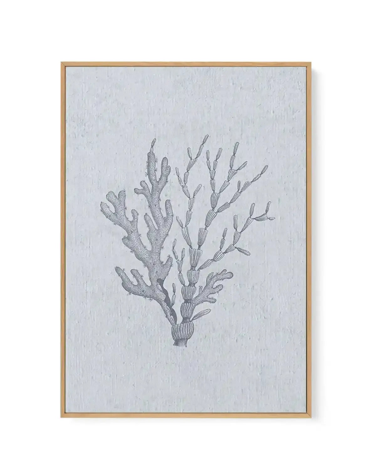 Hamptons Seaside Collection IV Blue | Framed Canvas Art Print blue coastal art print