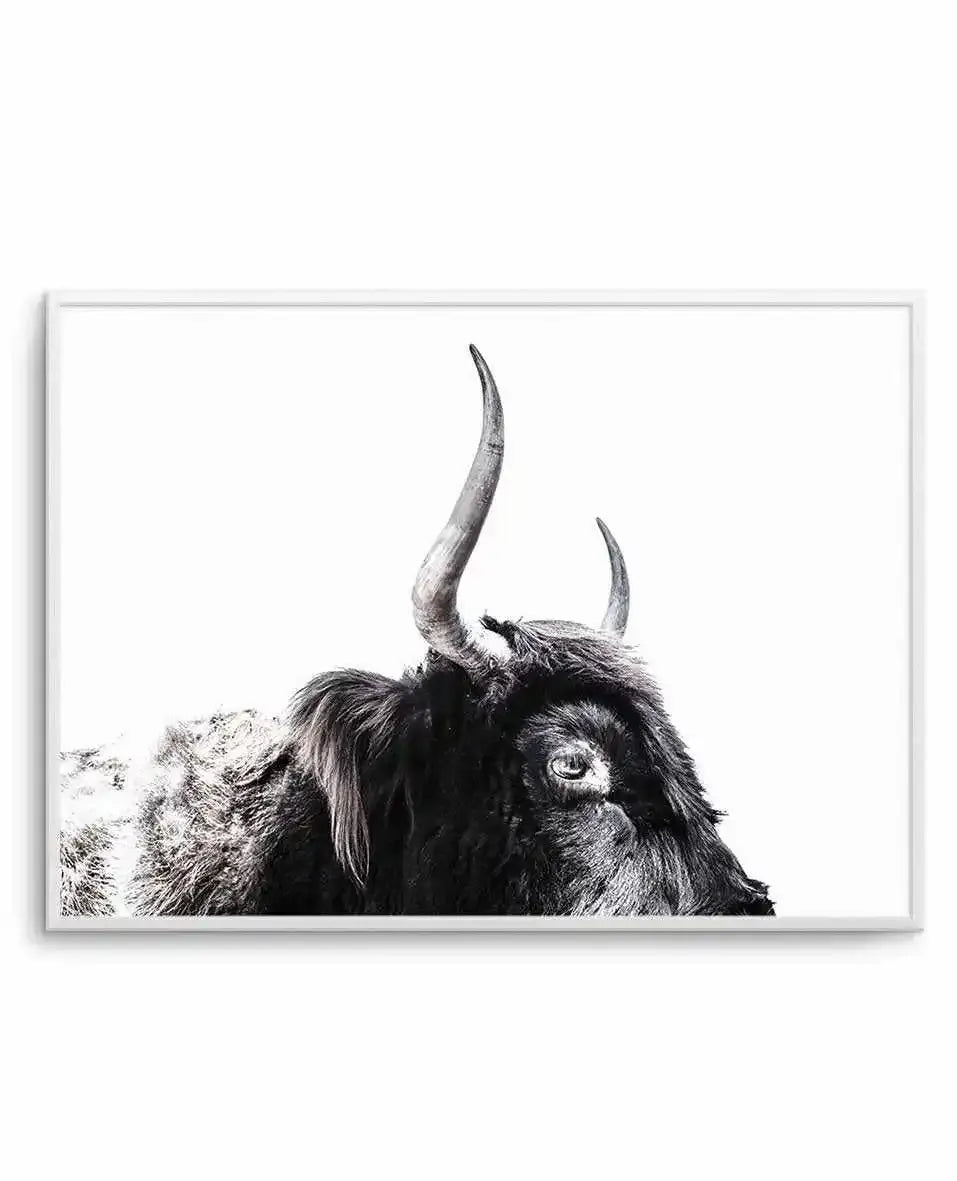 Black and white photographic art print of a Highland cattle's head and horns in close-up, looking directly at the viewer. The animal has long, curved horns extending upward and shaggy hair covering its face and neck. The image is a minimalist portrait composition against a white background, printed on white paper and displayed in a light gray frame with white border.