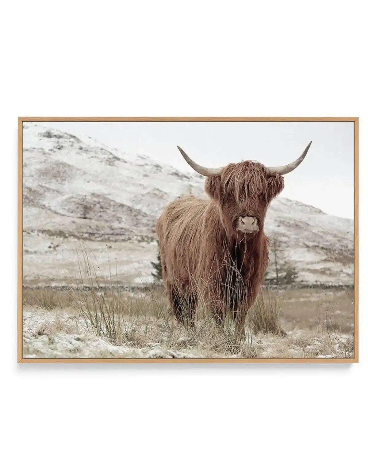 Highlander | LS | Framed Canvas-CANVAS-You can shop wall art online with Olive et Oriel for everything from abstract art to fun kids wall art. Our beautiful modern art prints and canvas art are available from large canvas prints to wall art paintings and our proudly Australian artwork collection offers only the highest quality framed large wall art and canvas art Australia - You can buy fashion photography prints or Hampton print posters and paintings on canvas from Olive et Oriel and have them