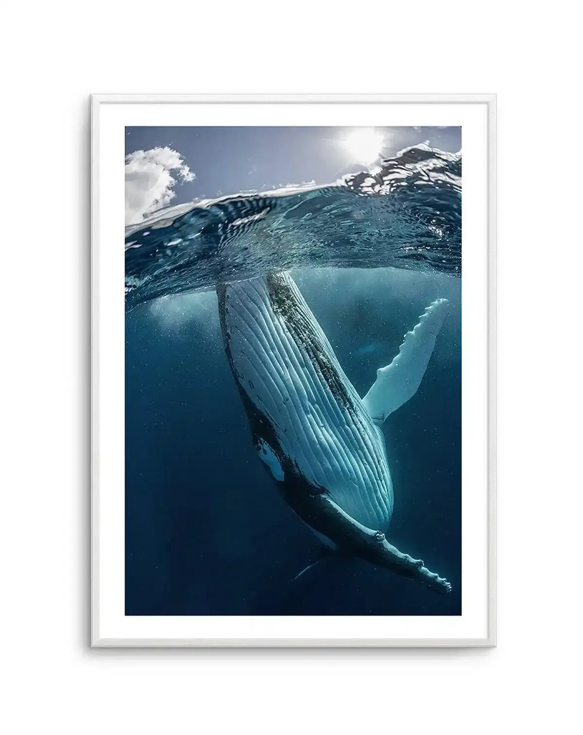Humpback Whale 額入りポスター Ocean Photography Wall Art Print | Humpback Whales III – Olive et
