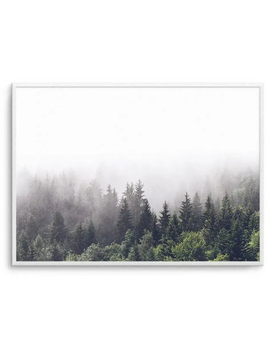 Framed photograph of a misty forest scene with a white frame and white border. The composition features a dense forest of pine and evergreen trees in varying shades of dark green and grey, partially obscured by a thick layer of white mist that fills the upper half of the image.
