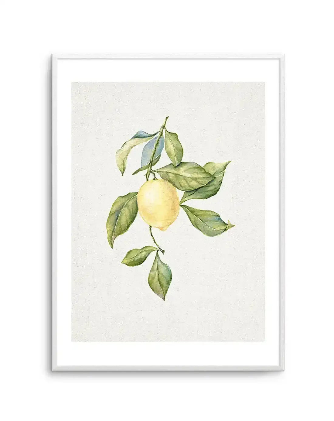 Watercolour art print featuring a single lemon on a branch with green leaves, printed on fine art paper and displayed in a white frame with white border. The lemon is a soft yellow, and the leaves are a mix of sage green and olive green with subtle blue undertones.