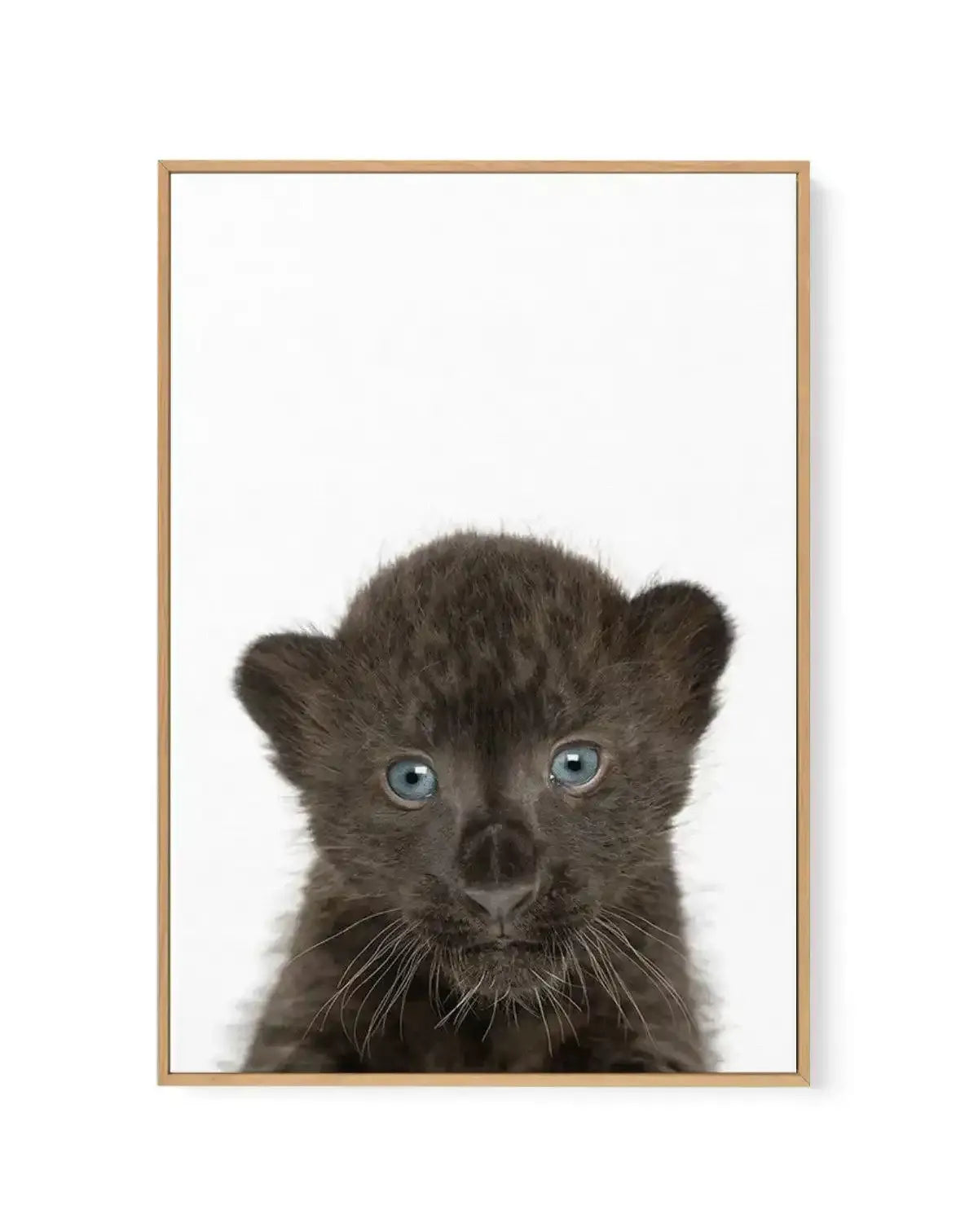 Framed canvas art print featuring a close-up portrait of a young black leopard cub against a white background. The cub has striking pale blue-grey eyes, rounded ears, and detailed whiskers rendered in photorealistic style. The fur is rendered in deep charcoal and black tones with fine texture detail. The canvas is mounted in a natural wood frame with a thin border, displayed vertically in portrait orientation.