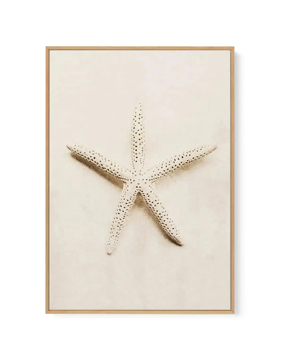 Little starfish | Framed Canvas-CANVAS-You can shop wall art online with Olive et Oriel for everything from abstract art to fun kids wall art. Our beautiful modern art prints and canvas art are available from large canvas prints to wall art paintings and our proudly Australian artwork collection offers only the highest quality framed large wall art and canvas art Australia - You can buy fashion photography prints or Hampton print posters and paintings on canvas from Olive et Oriel and have them