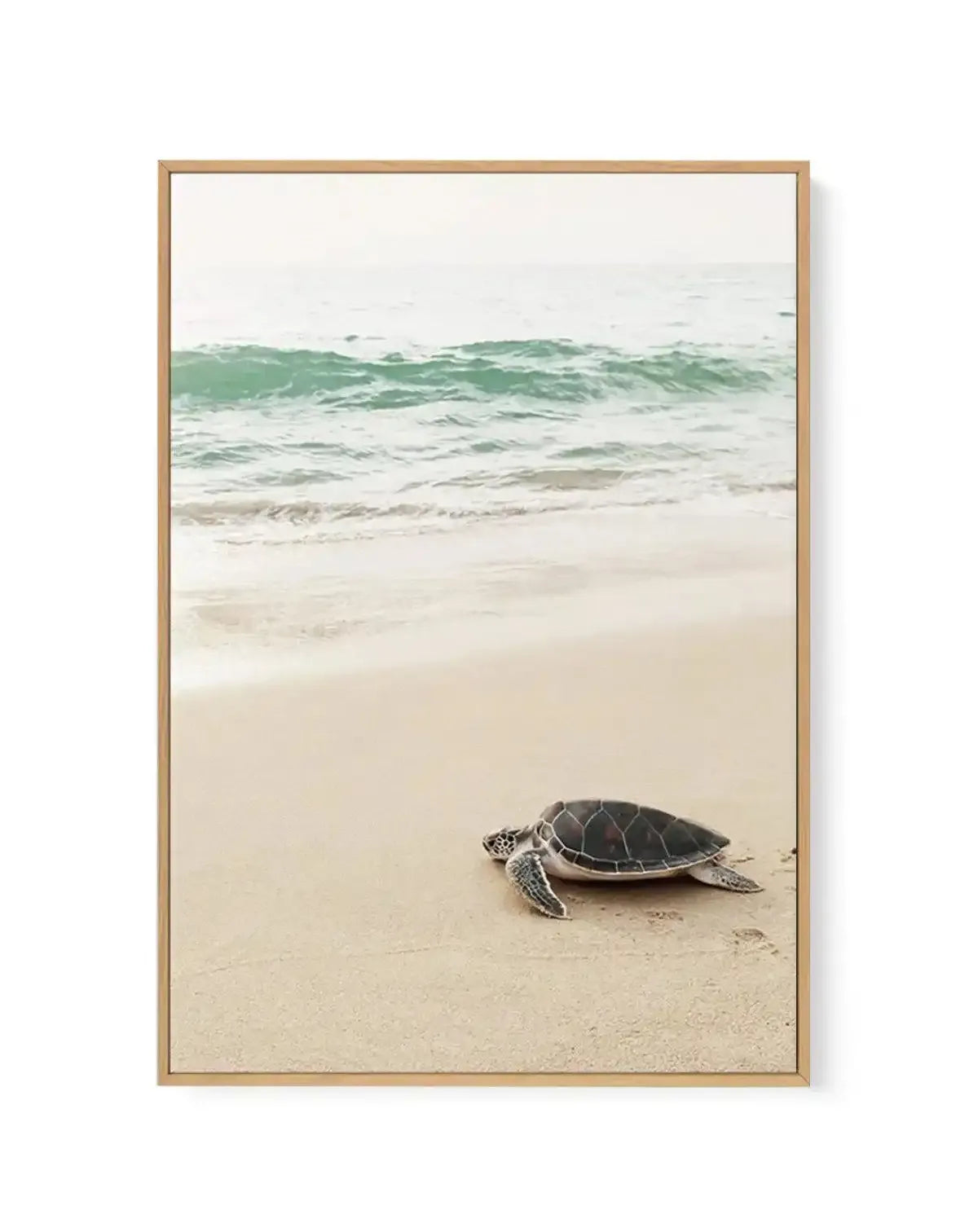 Framed canvas art print featuring a sea turtle on a sandy beach with gentle waves in the background. The composition shows a dark-shelled turtle with visible flippers in the lower portion of the frame, positioned on pale beige sand. Above the turtle, soft green and white waves roll toward shore under a hazy sky. The artwork has a soft, muted color palette with naturalistic photographic style. The canvas is mounted in a natural wood frame with white border.