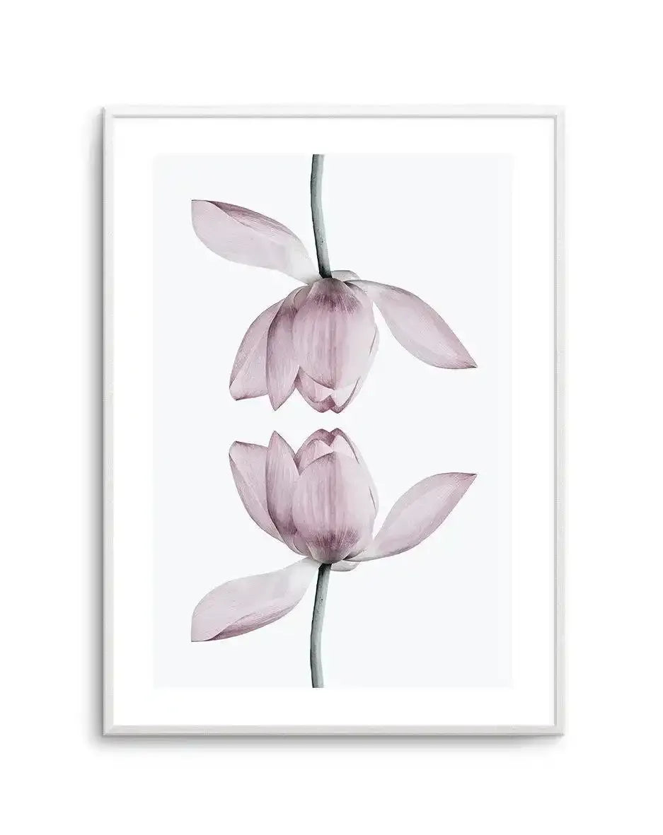 Watercolor art print depicting two delicate lotus flowers in soft mauve and dusty rose tones on a single green stem against a white background. The upper flower is fully open with five layered petals, while the lower bloom is partially closed with unfurling petals. Fine brushwork creates subtle veining and shading throughout. Displayed in a light gray frame with white border.